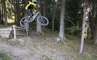 [VTT Pilotage] Le Step Down: Les Sauts Expliqués