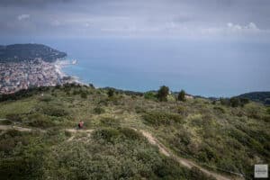 tea-sanbartolomeo-2025-sd-focus-3