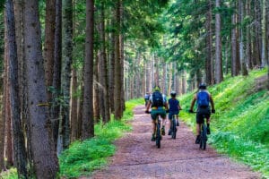 Comment réussir votre sortie en VTT ?