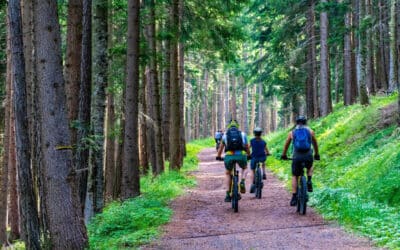 Titre réécrit : Astuces pour une excursion réussie en vélo tout terrain (VTT)

Lorsque vous envisagez une sortie en vélo tout terrain (VTT), il est important de bien la préparer pour la rendre aussi agréable et sécuritaire que possible. Voici quelques conseils pour vous aider à réussir votre excursion en VTT.

Premièrement, avant de partir en balade, il est essentiel de bien vérifier l’état de votre vélo. Cela comprend le contrôle des pneus, des freins, de la chaîne et des vitesses. C’est une étape cruciale pour prévenir tout problème technique qui pourrait survenir lors de votre sortie.

Ensuite, il est fortement recommandé de se munir d’un casque et d’autres équipements de sécurité tels que des gants et des genouillères. Ces éléments peuvent vous protéger en cas de chute ou d’accident.

De plus, il est important de choisir un itinéraire adapté à votre niveau de compétence. Si vous êtes débutant, il serait préférable de choisir une piste facile et de progresser graduellement vers des sentiers plus difficiles. Il serait également bénéfique de faire des recherches sur l’itinéraire choisi pour éviter toute surprise désagréable.

En outre, il faut toujours emporter avec soi une trousse de premiers soins et des outils de réparation pour le vélo. Cela peut vous aider à faire face à toute situation d’urgence qui pourrait survenir lors de votre sortie.

Il est également conseillé de porter des vêtements et des chaussures appropriés pour le VTT. Par exemple, des vêtements confortables et résistants qui peuvent vous protéger contre les égratignures et les blessures, et des chaussures qui offrent un bon soutien et une bonne adhérence.

Enfin, n’oubliez pas de rester hydraté et de manger des aliments énergétiques pendant votre sortie. Cela vous aidera à maintenir votre énergie et à éviter la fatigue.

En suivant ces conseils, vous pouvez vous assurer une sortie en VTT réussie et agréable. C’est une excellente façon de profiter de la nature tout en faisant de l’exercice. Alors, préparez-vous bien et amusez-vous!